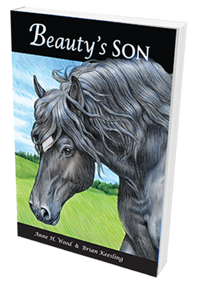 Beauty's Son
                      - A book on horses